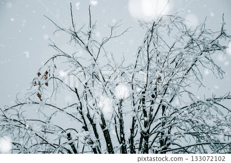 在冬天天空的雪飛行 133072102
