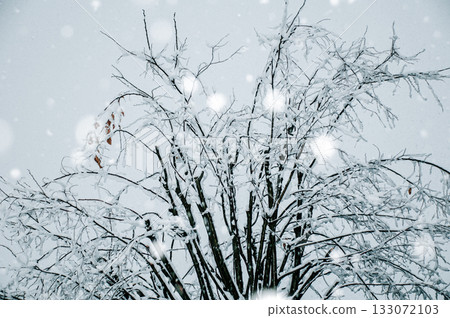在冬天天空的雪飛行 133072103