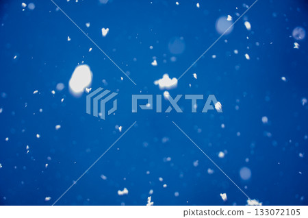 在冬天天空的雪飛行 在冬天天空的雪飛行 133072105