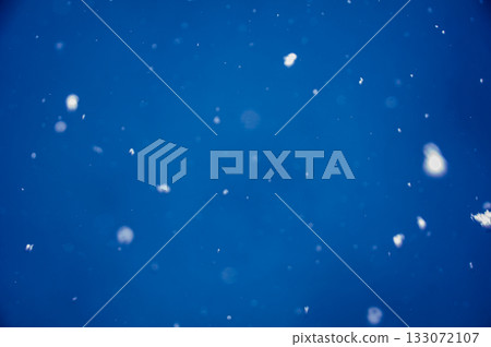 在冬天天空的雪飛行 133072107