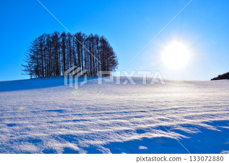 冬季美瑛鎮溫和七山 冬季美瑛鎮溫和七山 133072880