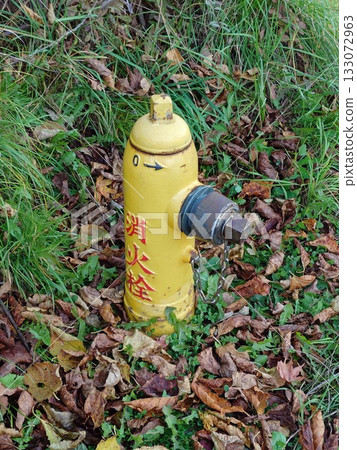 黃色消防栓 133072963