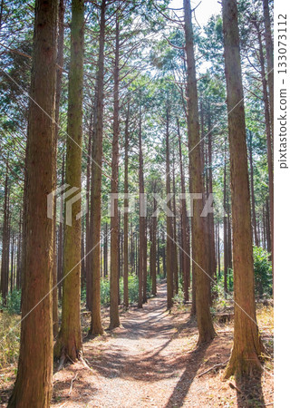 Hinoki no Mori Hinoki no Mori 133073112