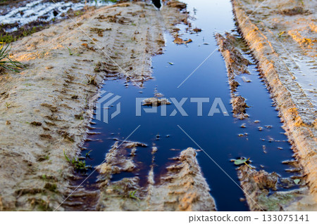 Water accumulates in a muddy track, reflecting pollution and waste that harm the surrounding ecosystem and wildlife Water accumulates in a muddy track, reflecting pollution and waste that harm the surrounding ecosystem and wildlife 133075141