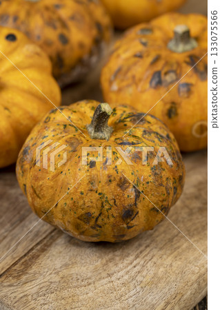 small yellow pumpkins completely covered with harmful dangerous mold, pumpkins that have begun to rot and become covered with mold small yellow pumpkins completely covered with harmful dangerous mold, pumpkins that have begun to rot and become covered with mold 133075566
