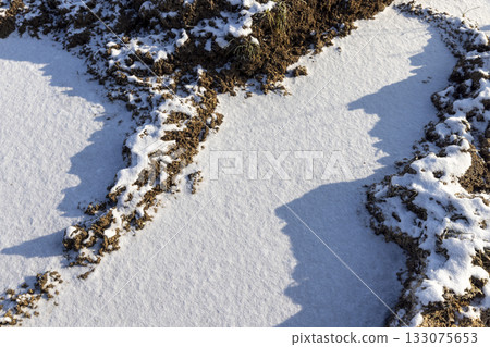 a swamp with snow and ice in winter, cold sunny weather at sunset 133075653