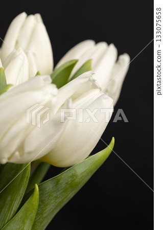beautiful fresh white tulips with green leaves in a large floral bouquet, beautiful fresh white tulip flowers in a holiday gift bouquet 133075658