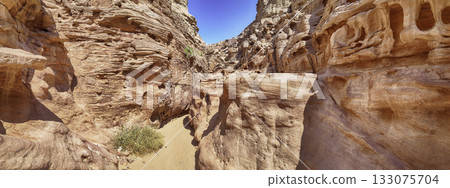 Scenic canyon landscape in the desert of South Sinai, Egypt 133075704