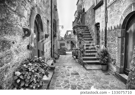 Picturesque Cobblestone Street in Ancient Civita di Bagnoregio, Italy Picturesque Cobblestone Street in Ancient Civita di Bagnoregio, Italy 133075710