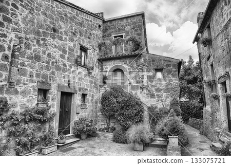 Ancient Stone Dwellings and Verdant Foliage in Civita di Bagnoregio 133075721