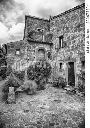 Ancient Stone Dwellings and Verdant Foliage in Civita di Bagnoregio 133075734