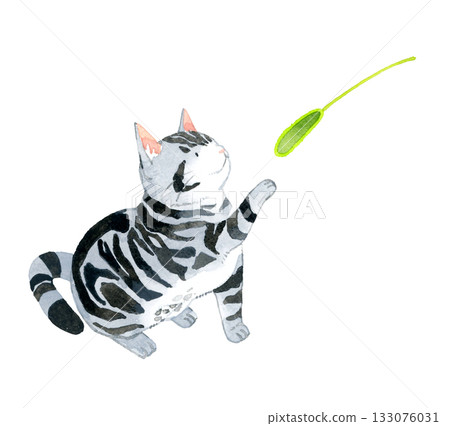 一隻美國短毛貓在玩貓玩具。手繪水彩寵物動物插畫。 133076031