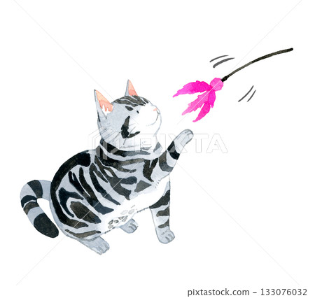 一隻美國短毛貓在玩玩具。手繪水彩寵物或動物插圖。 133076032