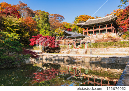 Autumn in Seoul, Changdeokgung Palace, Rear Garden 133076062
