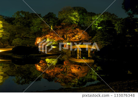 Rikugien Garden Light-up in Bunkyo Ward (Tokyo) 133076348