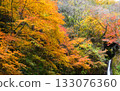 秩父華嚴瀑布（埼玉縣）的秋景 133076360