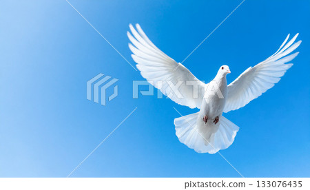 藍天白鴿飛翔,和平的象徵,人工智慧生成的圖像 藍天白鴿飛翔,和平的象徵,人工智慧生成的圖像 133076435