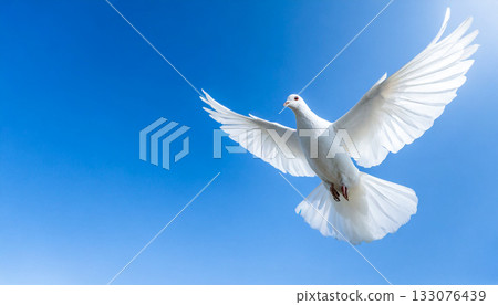 藍天白鴿飛翔,和平的象徵,人工智慧生成的圖像 藍天白鴿飛翔,和平的象徵,人工智慧生成的圖像 133076439