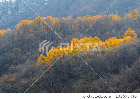藻岩山秋景_4809 藻岩山秋景_4809 133076486