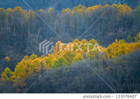 藻岩山秋景_5931 藻岩山秋景_5931 133076487