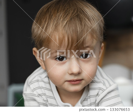 A cute two-year-old boy is playing happily in a bright, cozy room. The toddler is full of energy and curiosity, enjoying imaginative play and discovering new things. Perfect image for illustrating A cute two-year-old boy is playing happily in a bright, cozy room. The toddler is full of energy and curiosity, enjoying imaginative play and discovering new things. Perfect image for illustrating 133076653