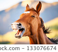 Laughing with eyes closed! A brown horse laughing from the heart, with a big smile and a moment of happiness 133076674