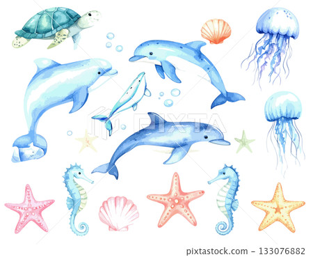 海洋生物水彩插畫 133076882