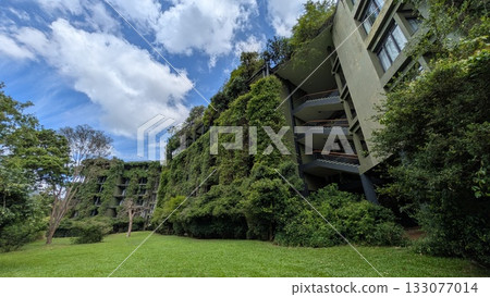 斯里蘭卡飯店 133077014