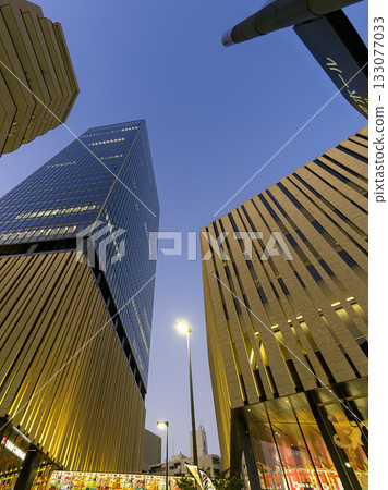 東京，池袋 [Hareza Ikebukuro] 夜景 / 池袋，東京，日本 133077033