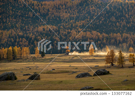 Autumn forest opens to sunlit meadow with scattered rocks and distant dust plume Autumn forest opens to sunlit meadow with scattered rocks and distant dust plume 133077162