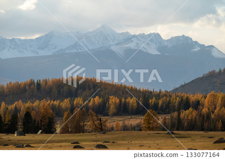 Scenic view of mountains and autumn forest with golden and green trees Scenic view of mountains and autumn forest with golden and green trees 133077164