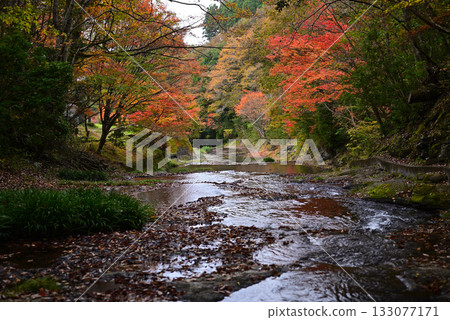 Autumn leaves at Ryusuikyo Gorge Autumn leaves at Ryusuikyo Gorge 133077171