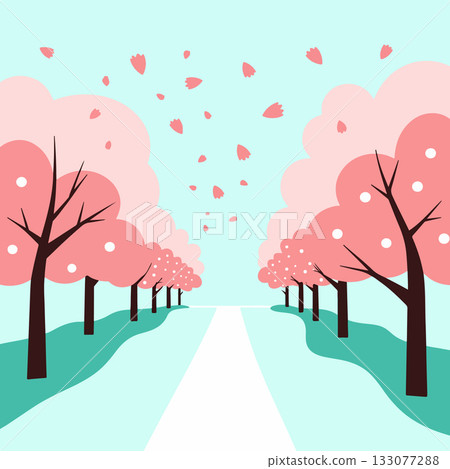 Cherry Blossom Path Cherry Blossom Path 133077288