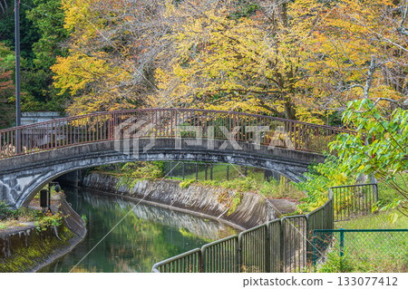 京都市東山自然綠地琵琶湖疏水 133077412