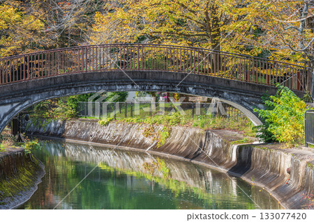 京都市東山自然綠地琵琶湖疏水 京都市東山自然綠地琵琶湖疏水 133077420
