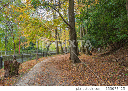 京都市東山自然綠地琵琶湖疏水 京都市東山自然綠地琵琶湖疏水 133077425