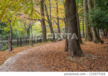 Lake Biwa Canal, Higashiyama Natural Green Space, Kyoto City Lake Biwa Canal, Higashiyama Natural Green Space, Kyoto City 133077426