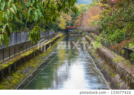 Lake Biwa Canal, Higashiyama Natural Green Space, Kyoto City 133077428