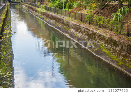 京都市東山自然綠地琵琶湖疏水 133077433