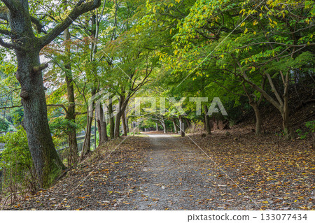 Lake Biwa Canal, Higashiyama Natural Green Space, Kyoto City 133077434