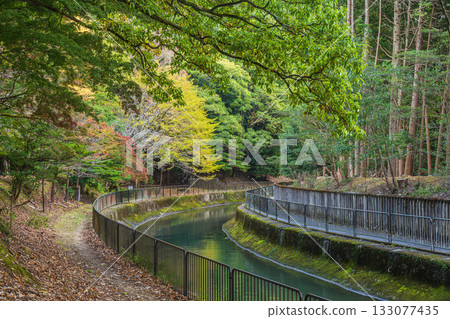 Lake Biwa Canal, Higashiyama Natural Green Space, Kyoto City 133077435