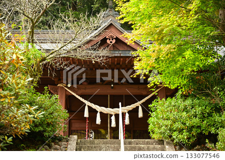 Autumn leaves in Yabe Village, Yame City 133077546