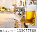 Cheers with the biggest smile! A comical photo of a happy kitten holding up a beer mug 133077589