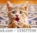 A kitten with wide-open eyes and a surprised look 133077590