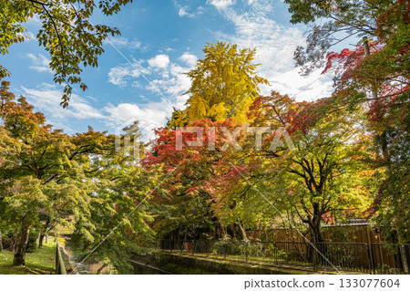 Lake Biwa Canal, Higashiyama Natural Green Space, Kyoto City Lake Biwa Canal, Higashiyama Natural Green Space, Kyoto City 133077604