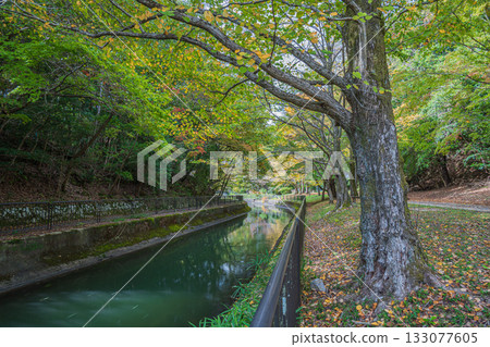 Lake Biwa Canal, Higashiyama Natural Green Space, Kyoto City 133077605