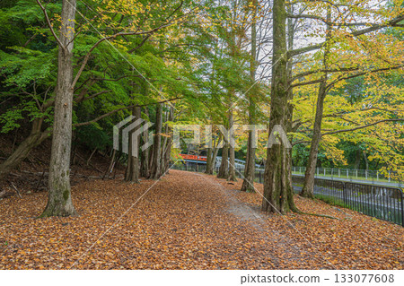 Lake Biwa Canal, Higashiyama Natural Green Space, Kyoto City 133077608