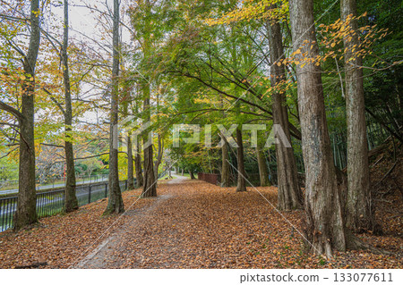 Lake Biwa Canal, Higashiyama Natural Green Space, Kyoto City Lake Biwa Canal, Higashiyama Natural Green Space, Kyoto City 133077611