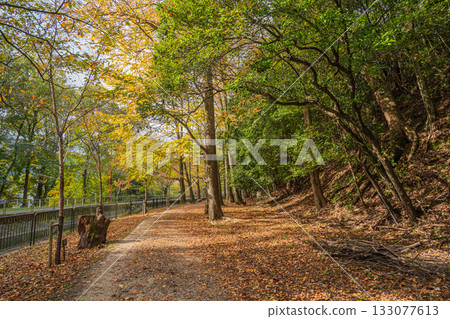 京都市東山自然綠地琵琶湖疏水 133077613