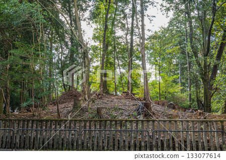Lake Biwa Canal, Higashiyama Natural Green Space, Kyoto City 133077614